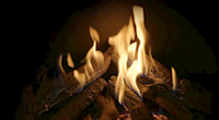 Dark Brown Log Set.png